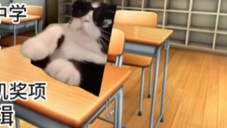 [Cat Meme] Saya membangun tembok sekolah, tetapi guru saya mengetahuinya dan meminta saya untuk menu