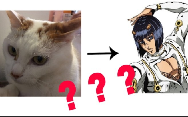 【JOJO】I actually turned my cat into a Bucciarati?