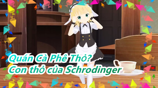 Quán Cà Phê Thỏ?|Con thỏ của Schrodinger