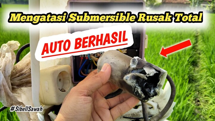 MENGATASI SIBELL SAWAH YANG MATI TOTAL - SUBMERSIBLE. SIBELL INOTO 2 HP