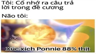 Ảnh chế hài hước và ảnh chế meme|MEME TƯƠI #98