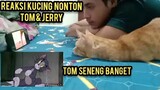 Masya allah Seneng Banget Kucing Tom Malah Nonton Film Tom And Jerry..!
