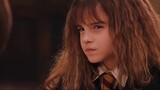 Cerita丨Fantastic Beasts & Harry Potter】Apa yang kita tonton saat menonton "History of Magic"