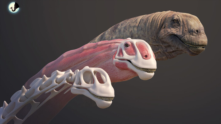 [MMD.3D] Mamenchisaurus ở Hợp Xuyên 2021 (Cgdemo)