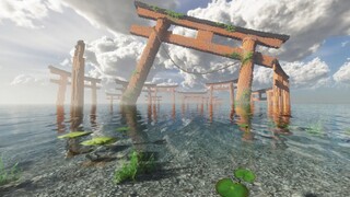 Torii