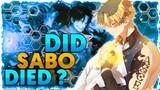 One Piece Manga 1054 Spoiler Hindi | Kya Sabo Mar gya ?