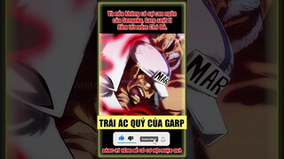 Trái ác quỷ nắm đấm của Garp - One Piece #shorts