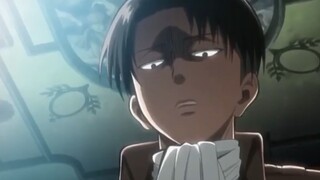 Levi Ackerman [AMV]