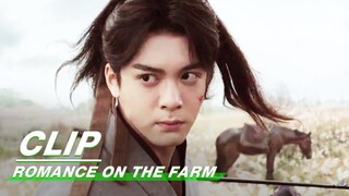 Shen Nuo was Hunted Down | Romance on the Farm EP01 | 田耕纪 | iQIYI