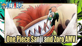 I Love When Sanji and Zoro Bicker | One Piece