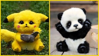 Thư giãn Cùng Boss Cưng Đáng Yêu Cute Không Chịu Nổi P(13) 🐱🐶 Funny Dog & Cat Videos Compilation