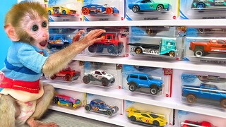 Monkey Baby Bon Bon doing shopping in Toy Cars store and eat watermelon with the puppy