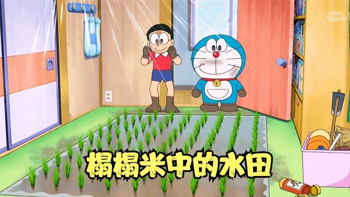 Nobita dan Dora bahkan menanam padi di kamar mereka untuk memakan kue beras
