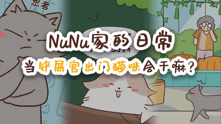 NuNu家的日常 当铲屎官出门猫咪会干嘛？