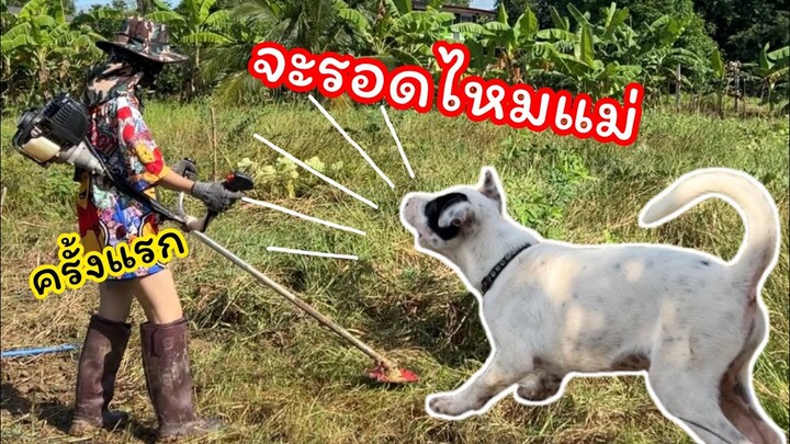 ลุยต่อไม่รอแล้วนะ