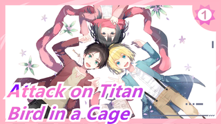 [Attack on Titan] Bird in a Cage, Amazing Cover_1