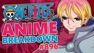 Luffy vs CIDER! One Piece Episode 896 BREAKDOWN