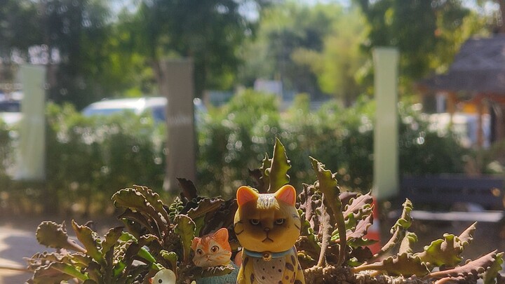 แงว