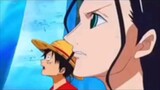 whales are happy to see Luffy sirahowshi