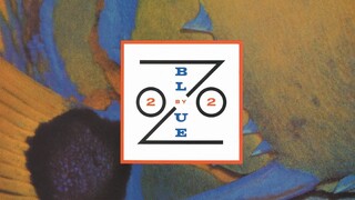 Blue Zoo - 2by2