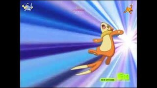 Buizel VS Laturn   Pokemon Tournament Battle