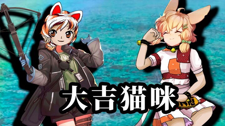 【东方明日舟】大吉猫咪