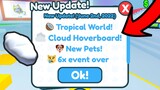 New Summer Update in Pet Simulator X!