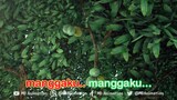 Lagu Anak Indonesia | Adit & Sopo, Jarwo - Mangga Manis Kesukaanku