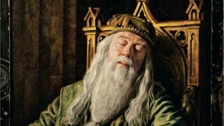 "He is undoubtedly the greatest wizard ever"