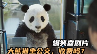 韩国爆笑喜剧片，特工能听懂动物说话，带大熊猫坐公交逃亡