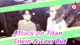 [Attack on Titan]Season 3 - Erwin & Levi Cut_A3
