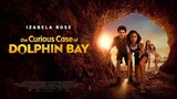 The Curious Case Of DOLPHIN BAY 2022_HD