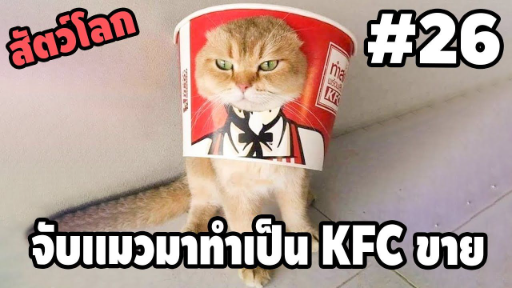 Ep.26 จับเเมวมาทำเป็น KFC ขายดีเป็นเทน้ำเทท่า อาหร่อยยย ( สัตว์โลกกวนตีน ) - [ พ