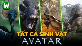 Tất Tần Tật 24+ Sinh Vật Trong Thế Giới Avatar