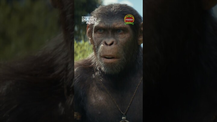 Kingdom of the Planet of the Apes | Reign
