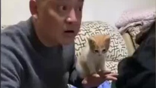 Orang tua yang saat itu tidak mengizinkan Anda memelihara kucing