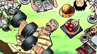 There's a reason why Zoro's bounty is higher than Sanji's