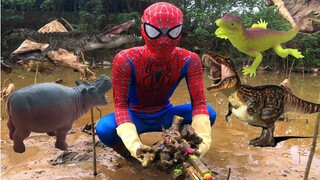 Spider-Man Membersihkan Buaya,Dinosaurus,Kuda Nil,Laba laba,Salamander,Kadal,Kepiting