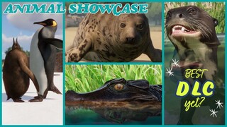 The Penguins are HILARIOUS! - Planet Zoo: Aquatic Pack - All Animals Showcased || [No Commentary]