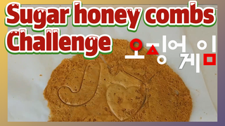 Sugar honey combs Challenge