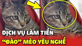 Phát hiện "ĐÀO" MÈO YÊU NGHỀ làm tiền khách CÔNG KHAI tại khách sạn Đà Lạt 😂 | Yêu Lu