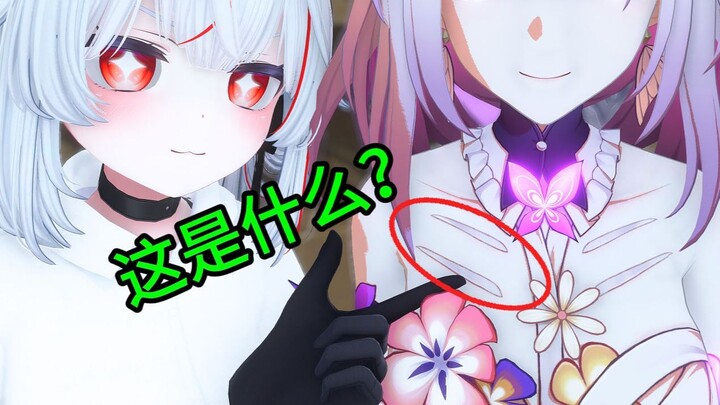 遐蝶胸前的4块布条是什么，有什么用？