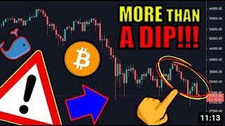 PREPARE FOR THE WORST PRICE CRASH?!?