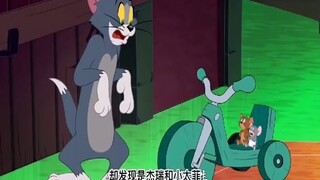 猫和老鼠