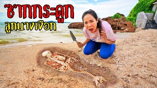 ขุดทราย เจอกระดูกลูกนางเงือก ที่ชายหาด MERMAID ON THE BEACH | พี่เฟิร์น 108Life