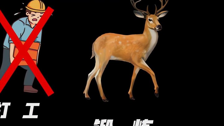 私斋的国庆的正确打开方式