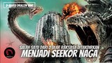 Ditakdirkan Menjadi Seekor Naga | ALUR CERITA FILM