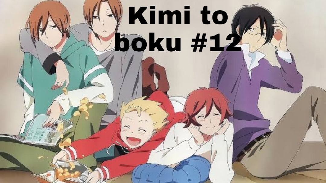 ANIME DVD Kimi To Boku No Saigo No Senjou(1-12End)