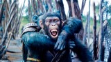 KINGDOM OF THE PLANET OF THE APES ''Ape Saves Human Scene'' Official Movie Clip + Trailer  (2024)