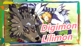 [Digimon MMD] Lilimon [Toko Hancur]